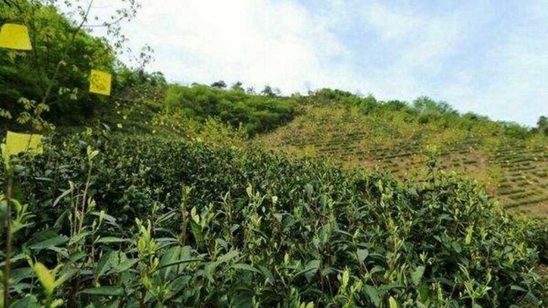 家庭农场一体化设备选购：如何规避误区，选择合适方案**