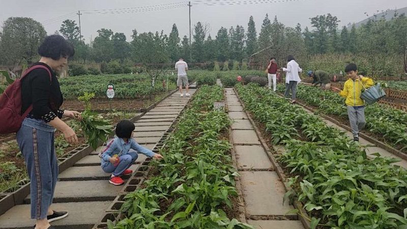 如何甄别农业种植技术学习网站的可靠性