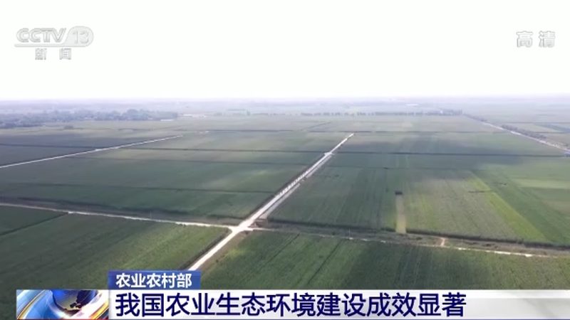 果蔬区域代理加盟流程解析：从入门到实操