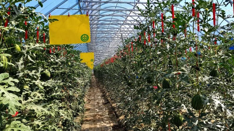 设施农业：如何选择口碑最佳的公司