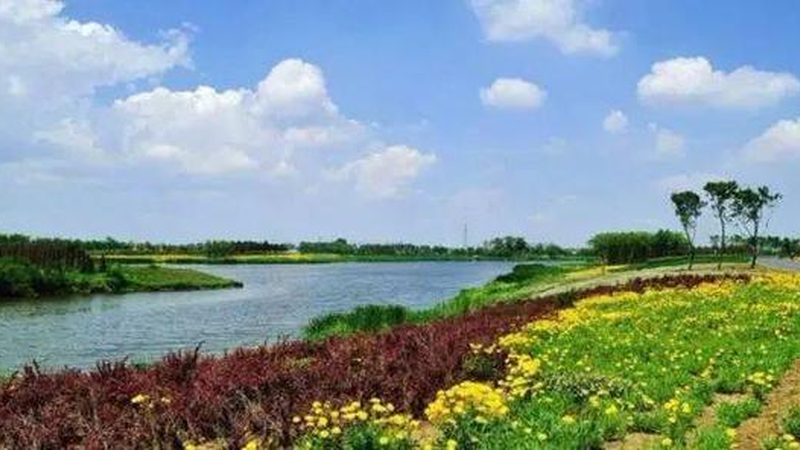 家庭农场补贴哪家强？揭秘补贴政策背后的真相