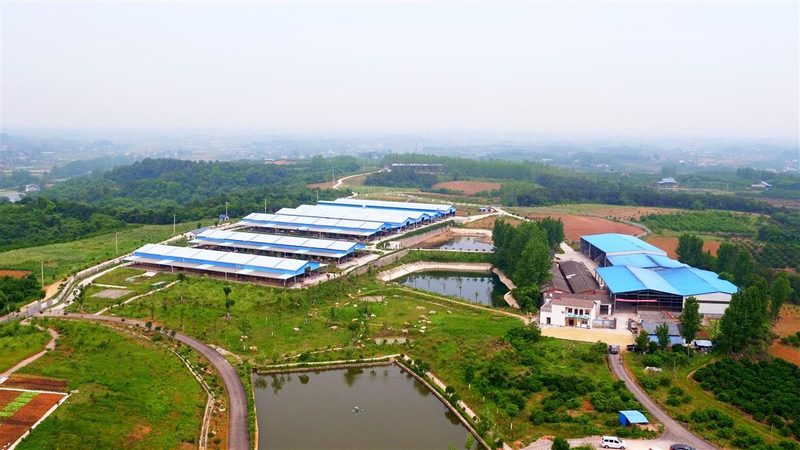 农业示范基地验收：标准与方法的全面解析
