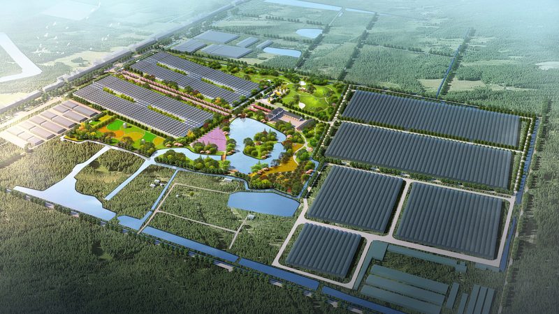 现代农业示范区建设标准：解读最新版要点**