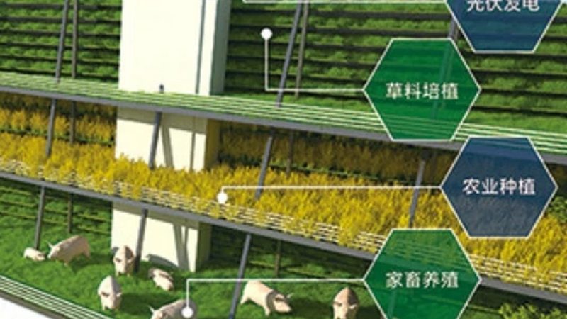 农产品分拣配送流水线，如何选对设备？**