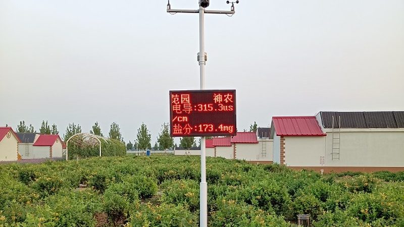 生态农业产业链搭建：关键环节与注意事项