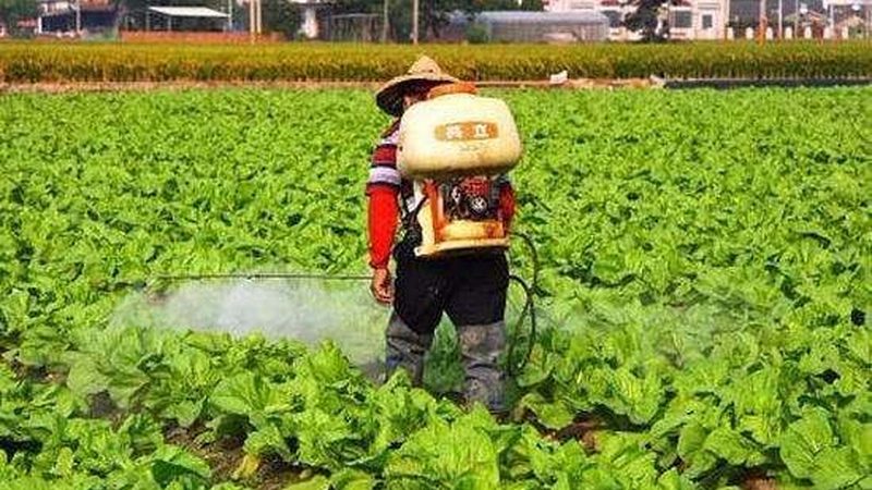 设施农业选型：如何规避误区，选择合适方案