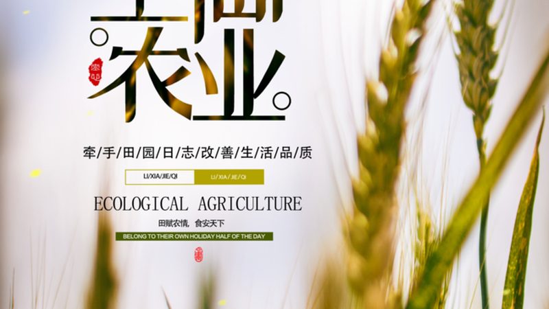 休闲观光农业产业园功能分区：打造农旅融合新典范